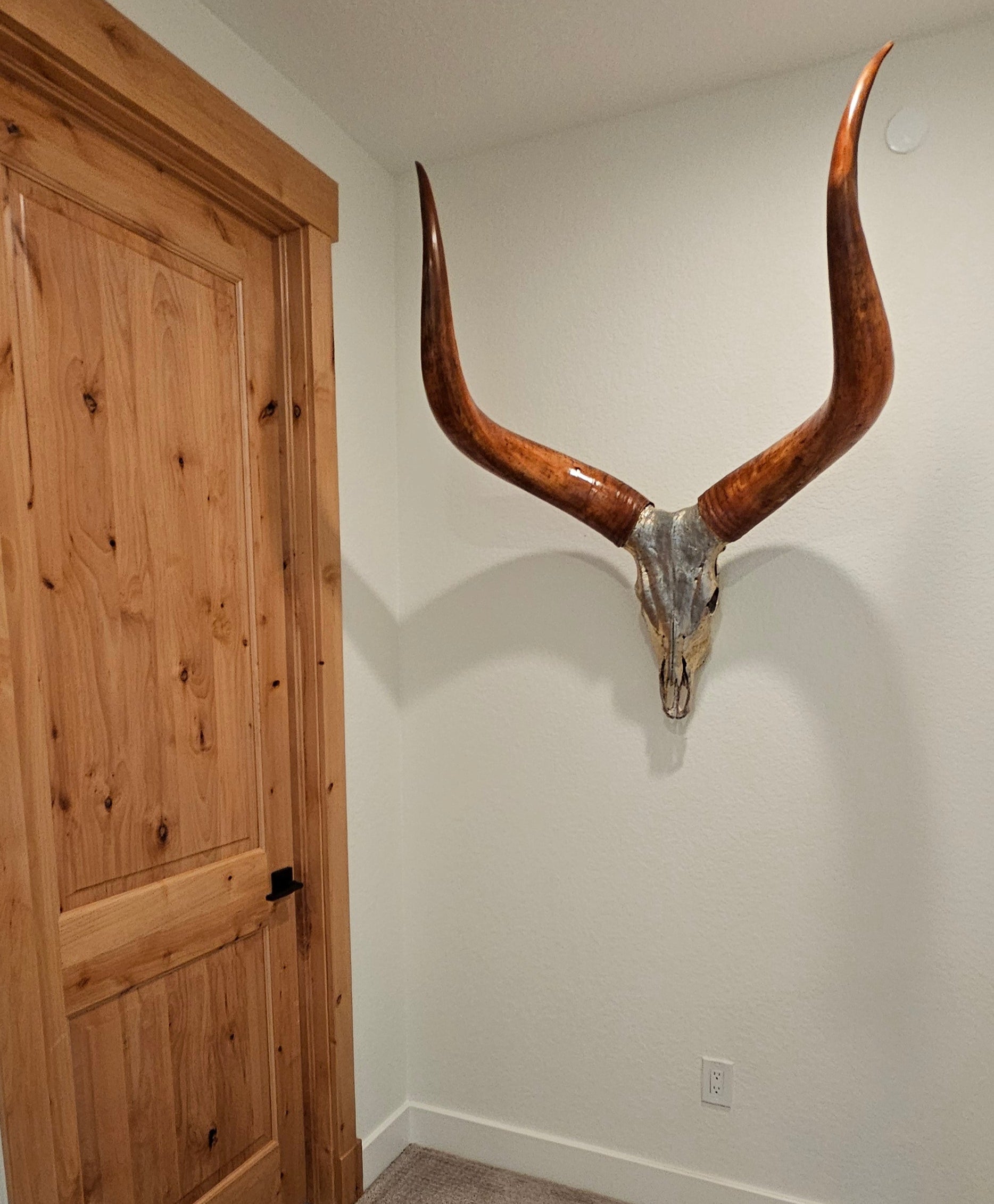 Ankole-Watusi Bull Skull – Pewter Leafed