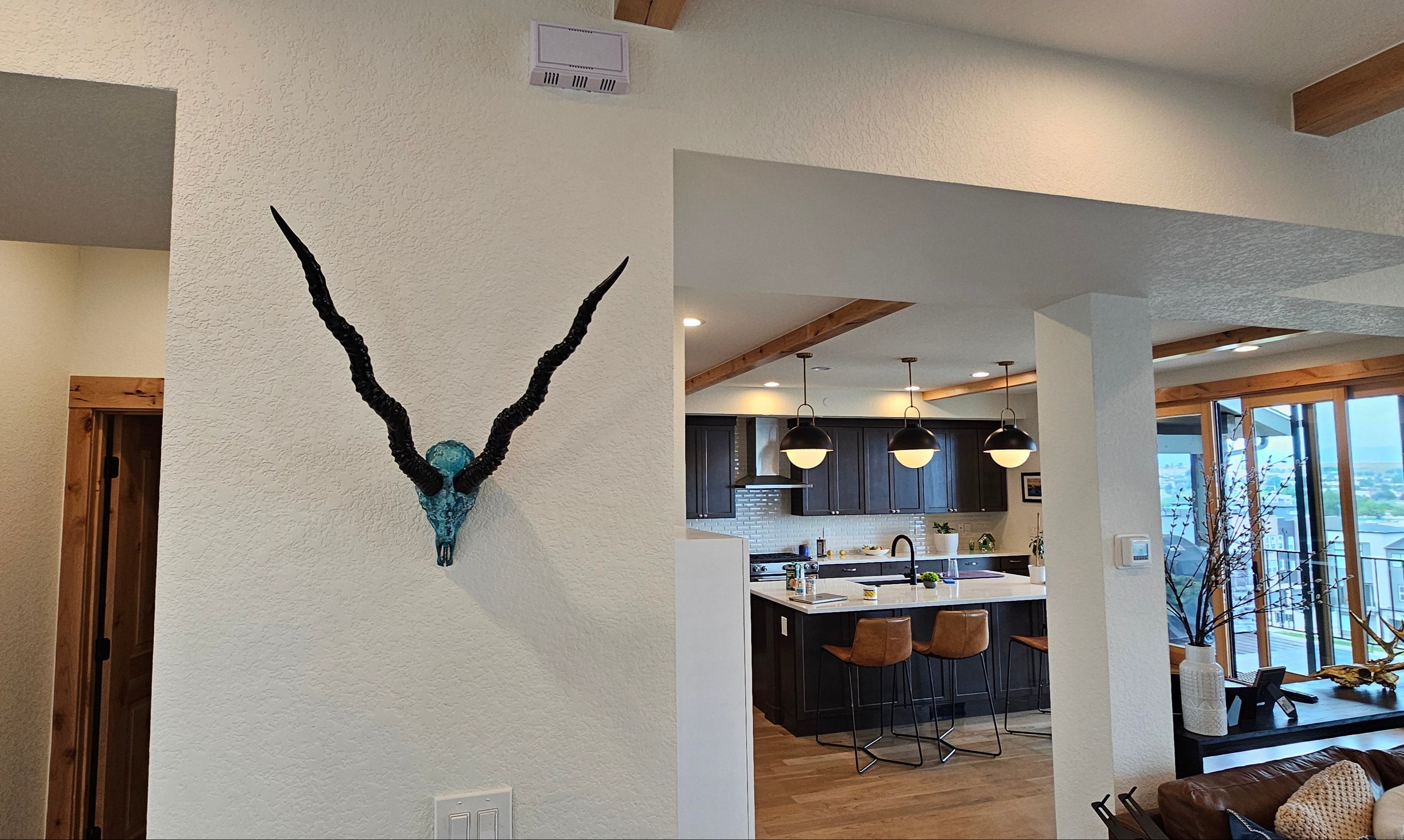 Blackbuck Antelope Skull - Copper Leaf Gilded & Patinated