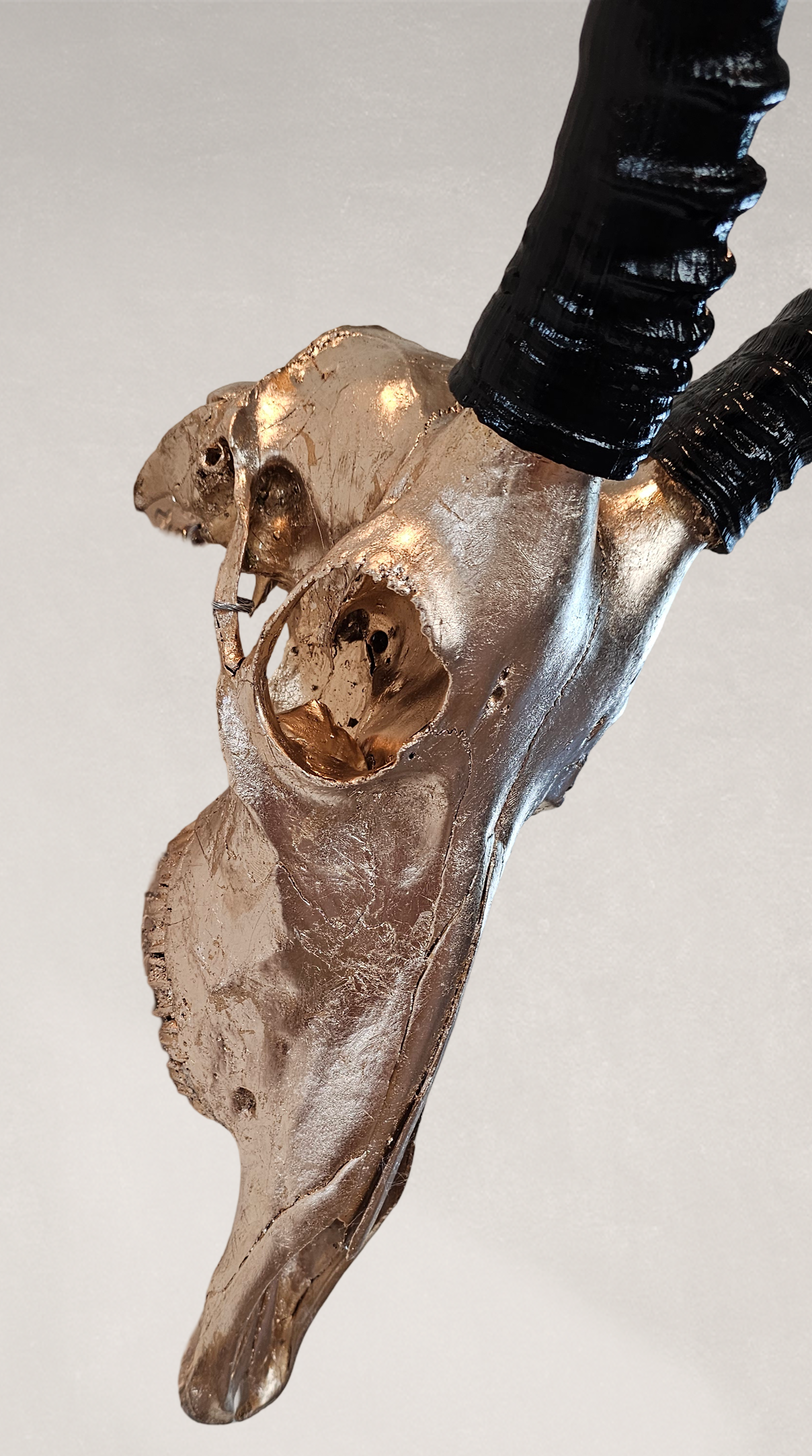 Manetti 22.5 kt Champagne Gold Gilded Blesbok Skull