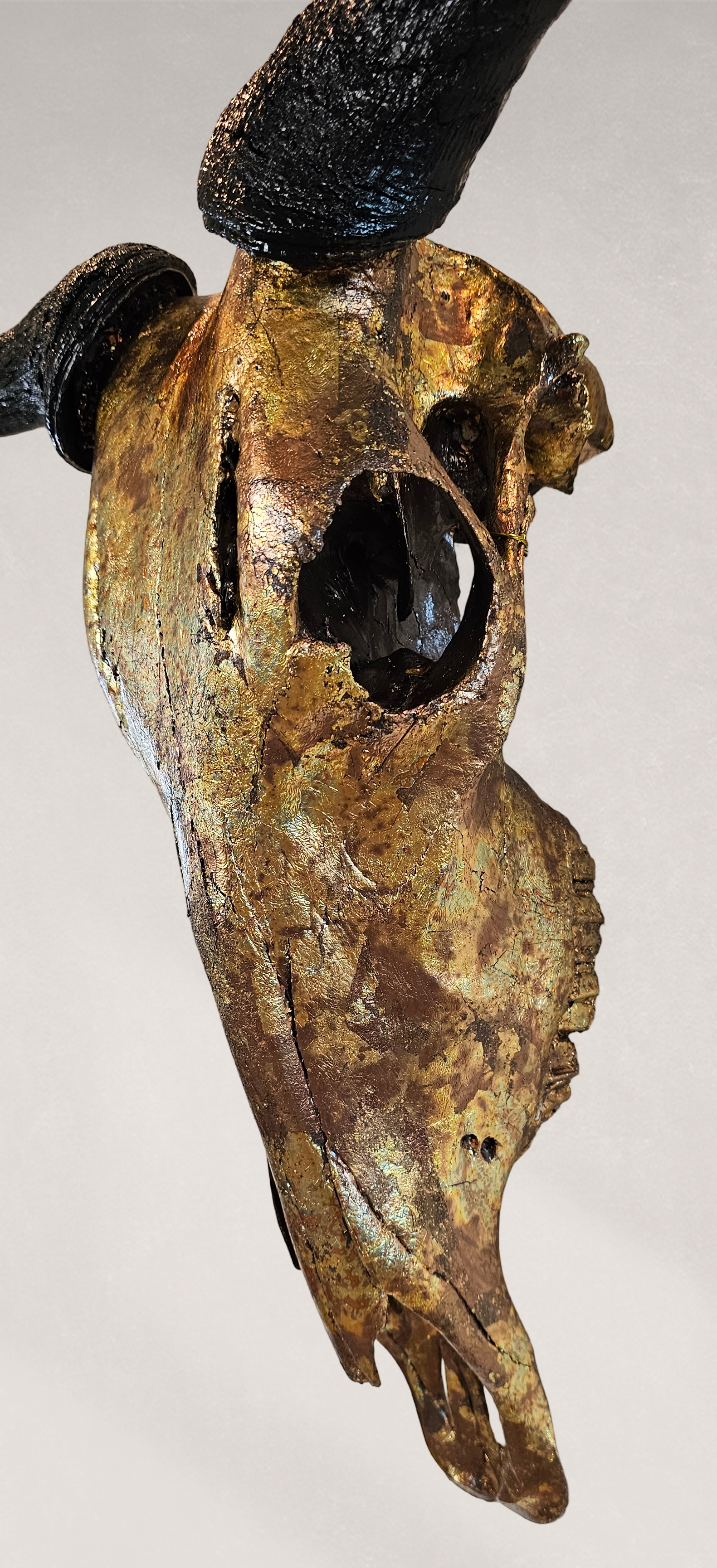 Wildebeest Skull- Antique Bronze Gilded Skull