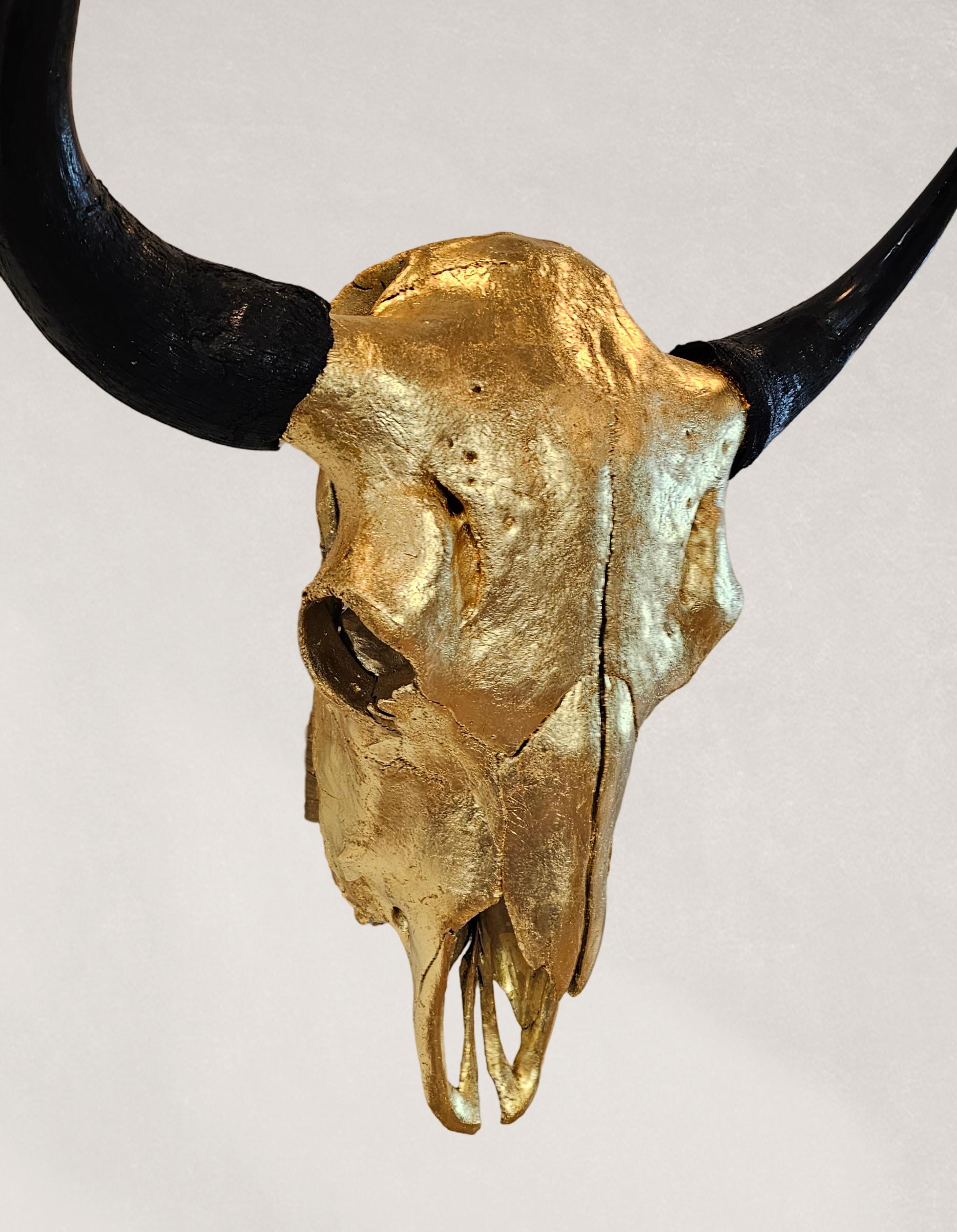 Buffalo Skull – 24K Gold Gilded Skull
