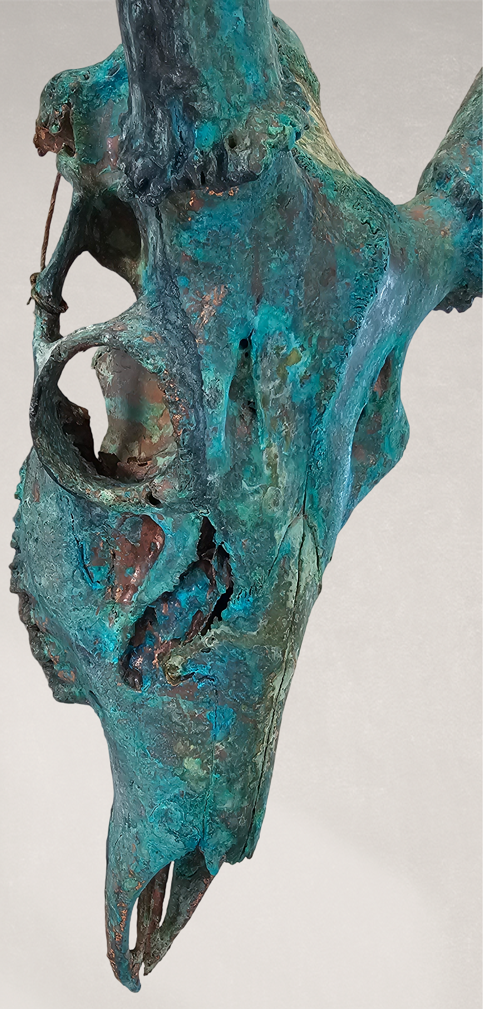 Copper Leaf Gilded & Patinated 10pt Whitetail Deer Skull