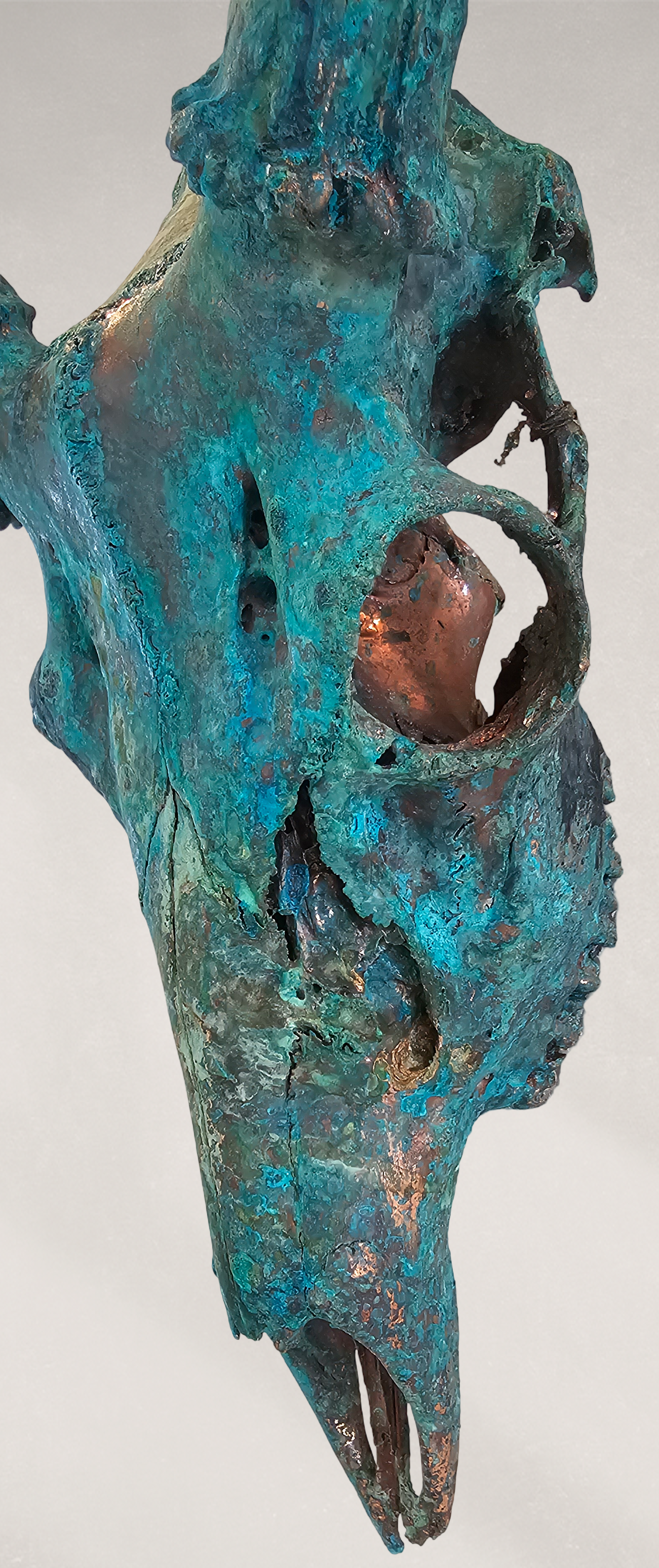 Copper Leaf Gilded & Patinated 10pt Whitetail Deer Skull