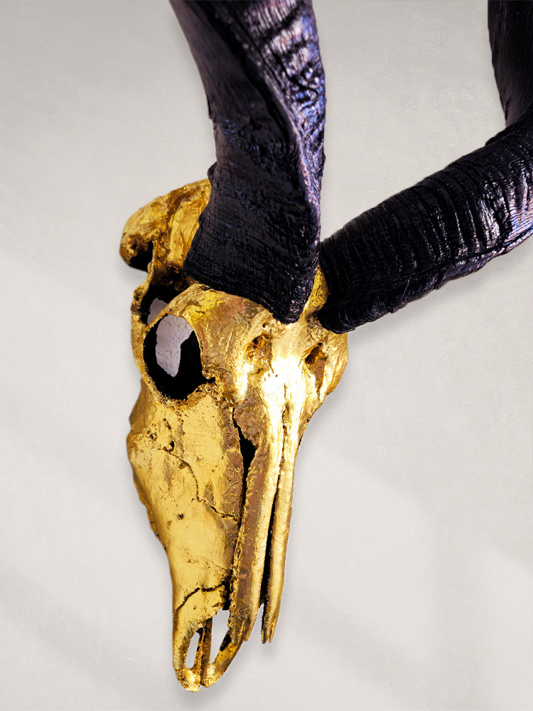 Kudu Skull – 24K Gold Gilded Skull