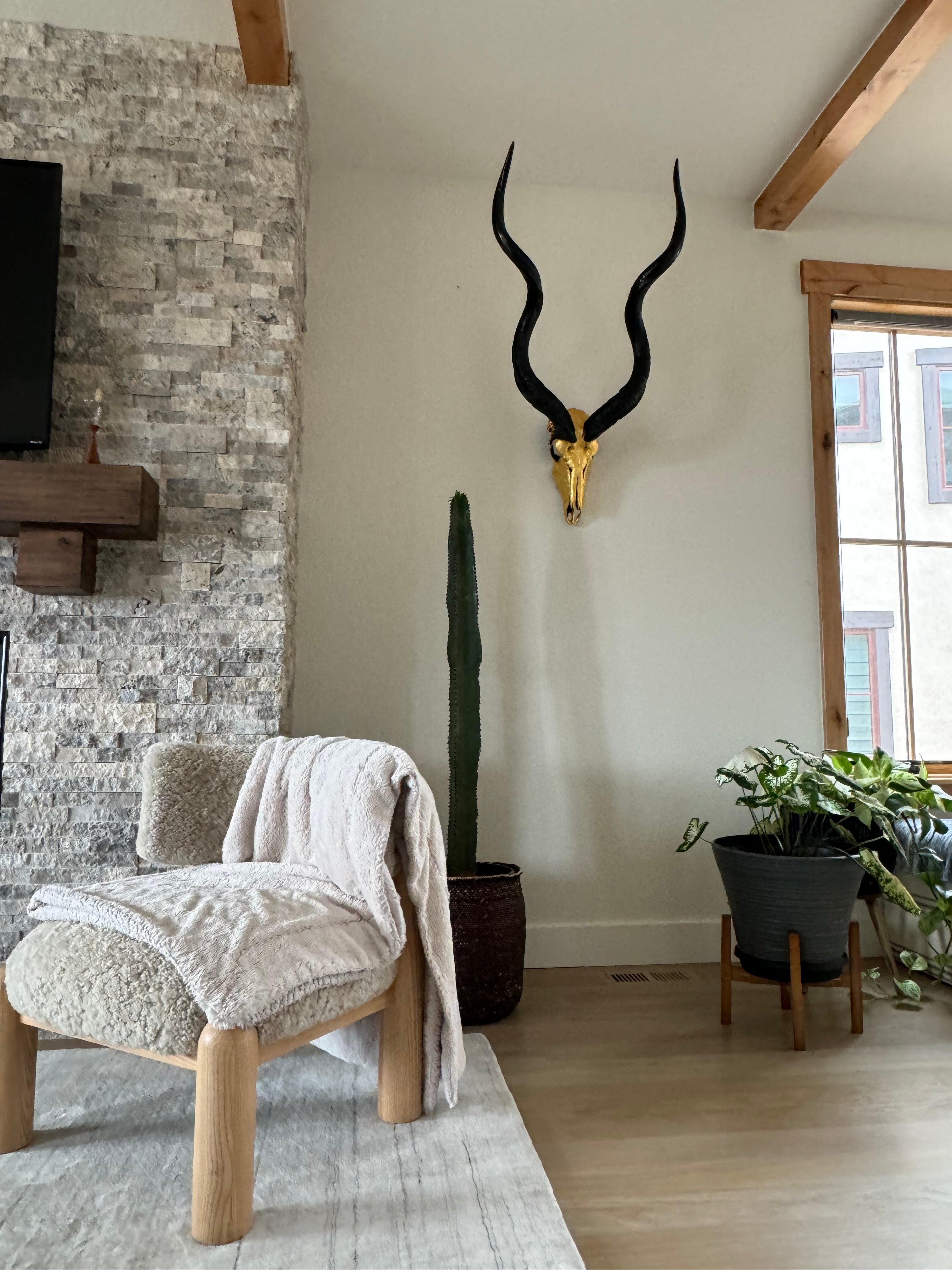 Kudu Skull – 24K Gold Gilded Skull