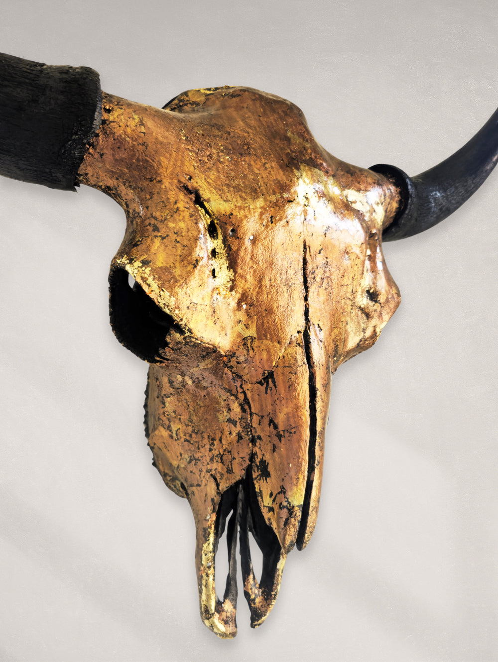Buffalo Skull – Bronze Leaf Gilded Skull