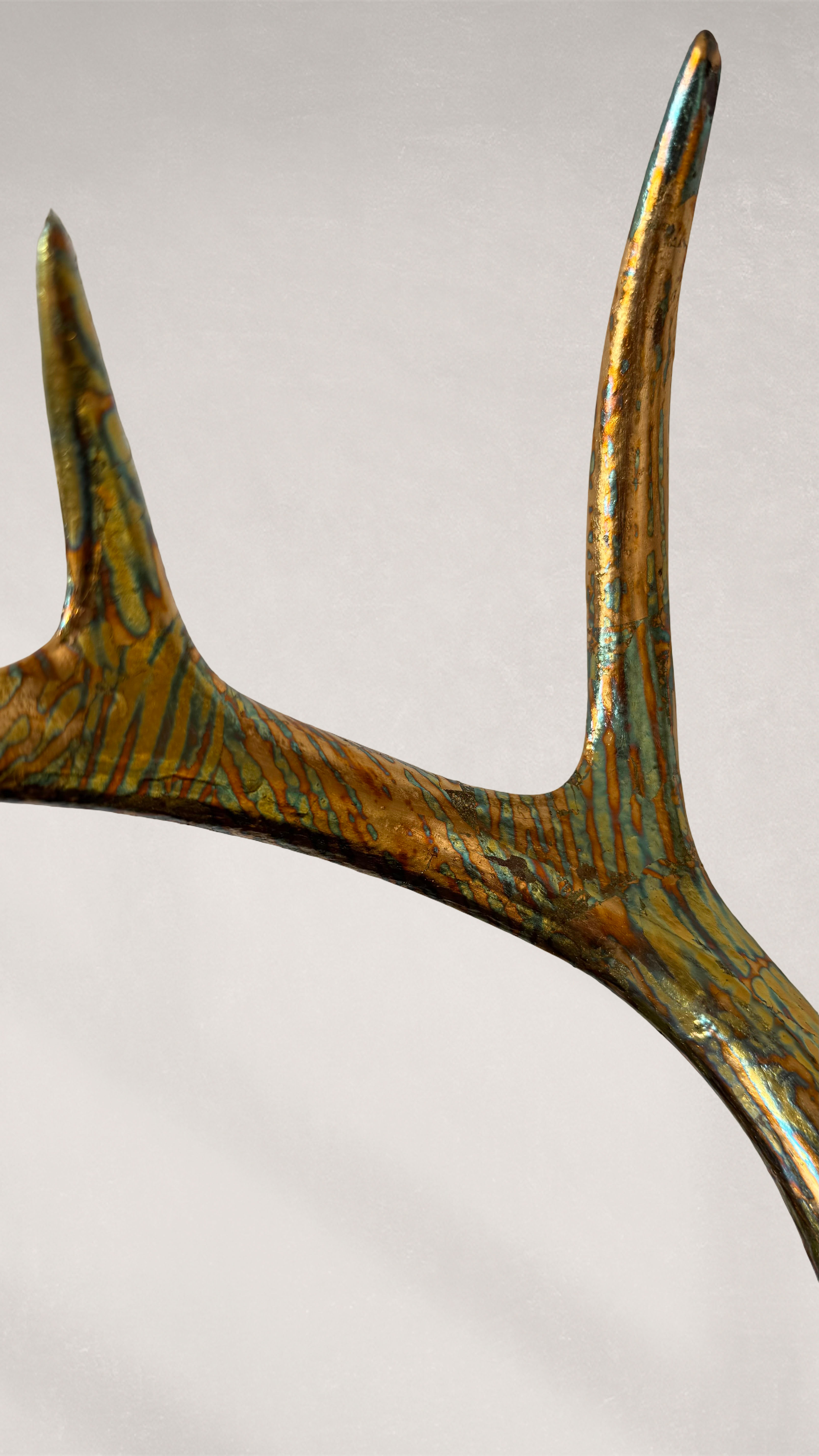 Deer Skull – 23K Gold Gilded Skull with Variegated Gold Leaf Gilded Horns