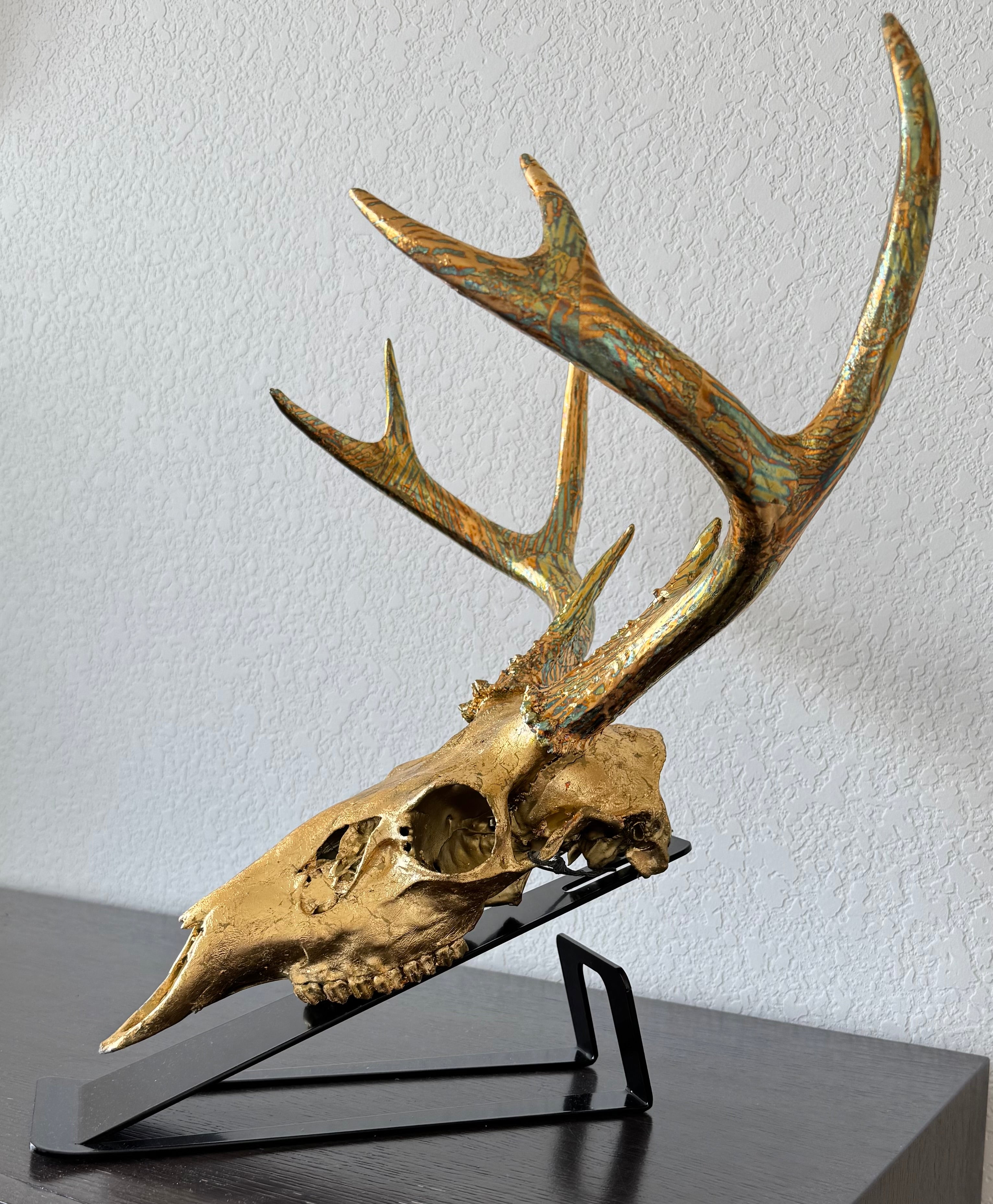 Deer Skull – 23K Gold Gilded Skull with Variegated Gold Leaf Gilded Horns
