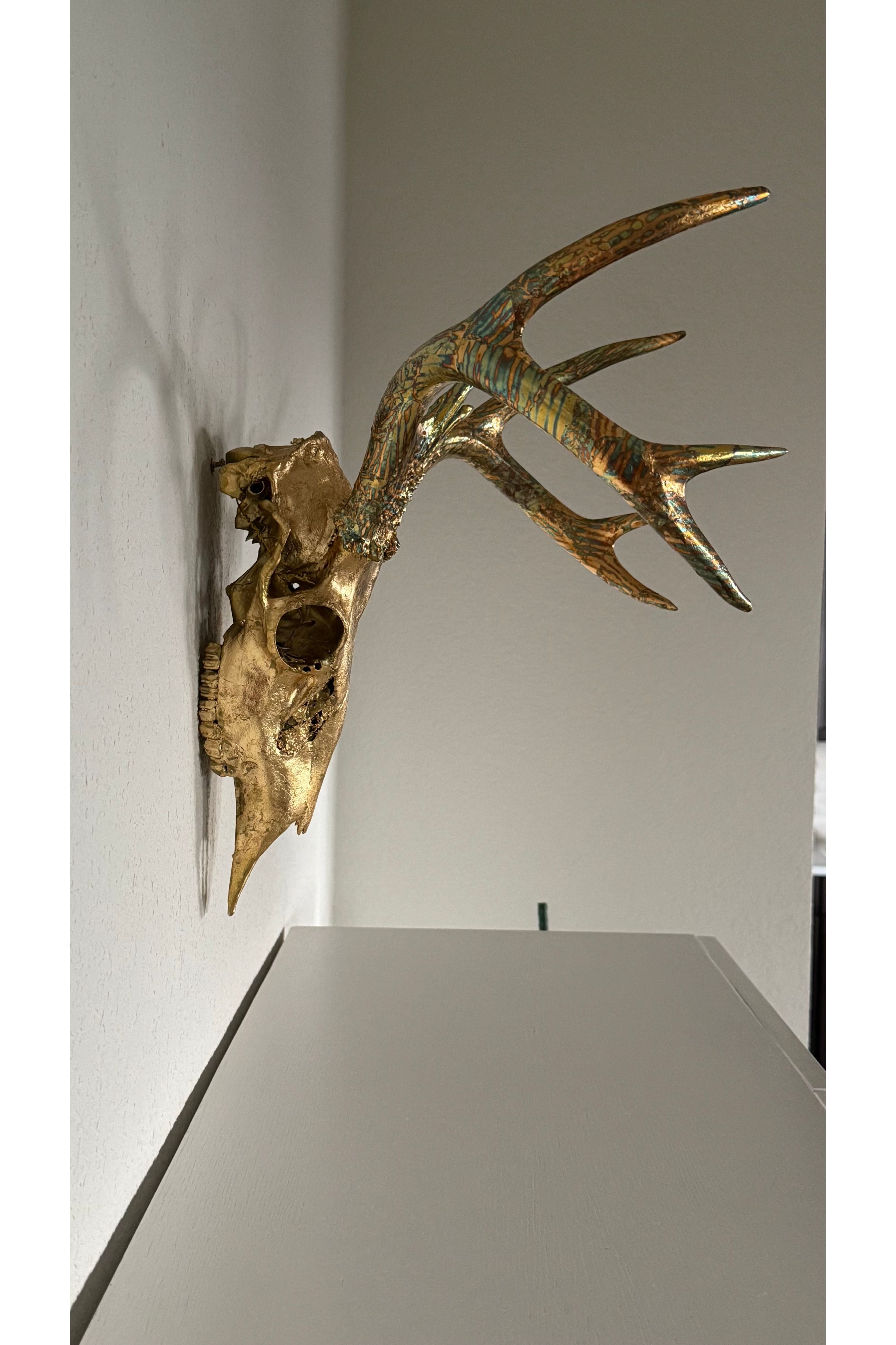 Deer Skull – 23K Gold Gilded Skull with Variegated Gold Leaf Gilded Horns