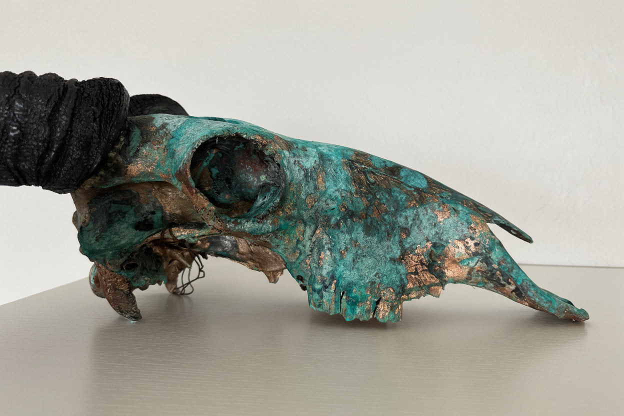 copper-colored animal skull on a white background