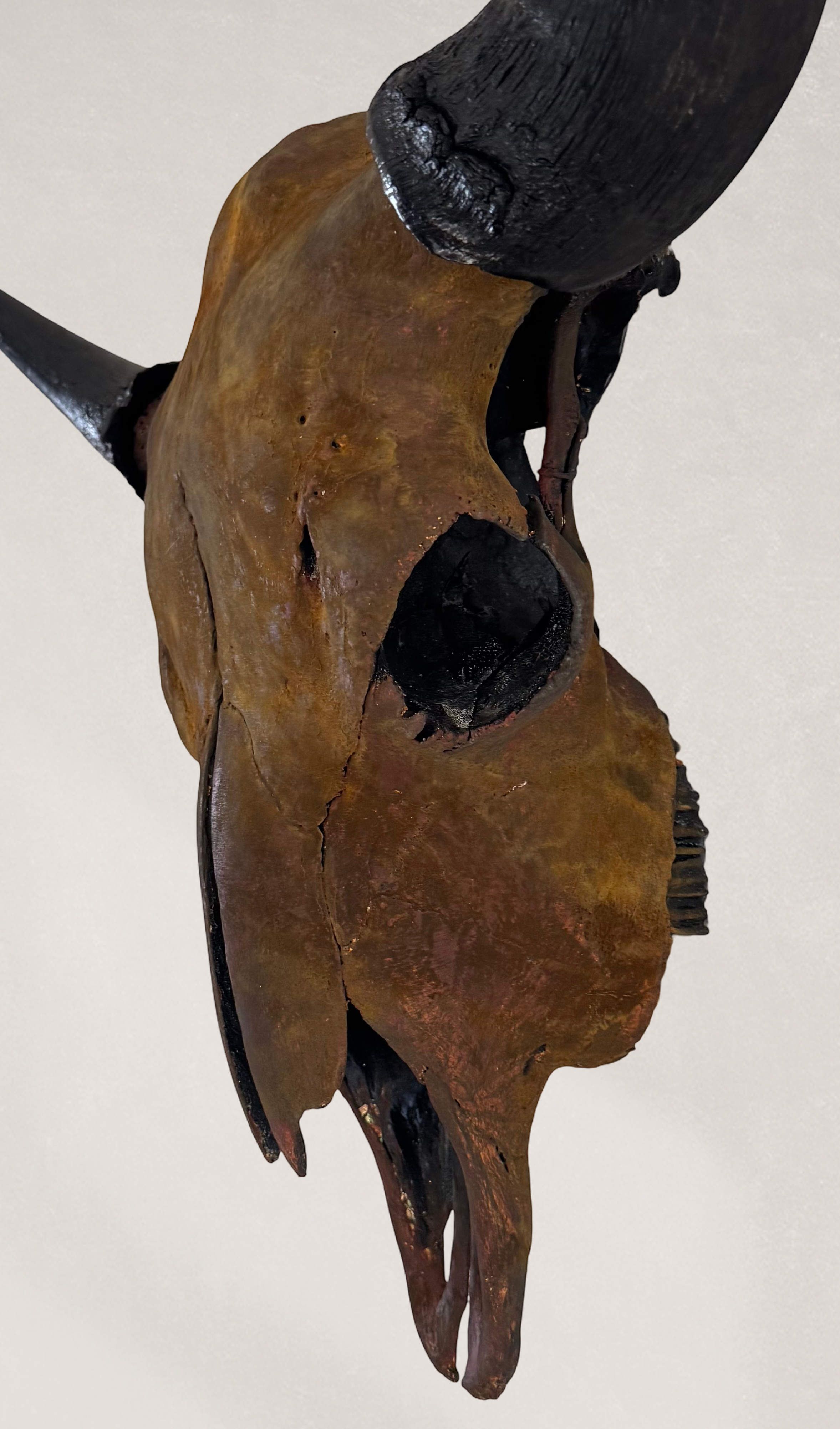 Gold Leafed & Rusted Buffalo Skull