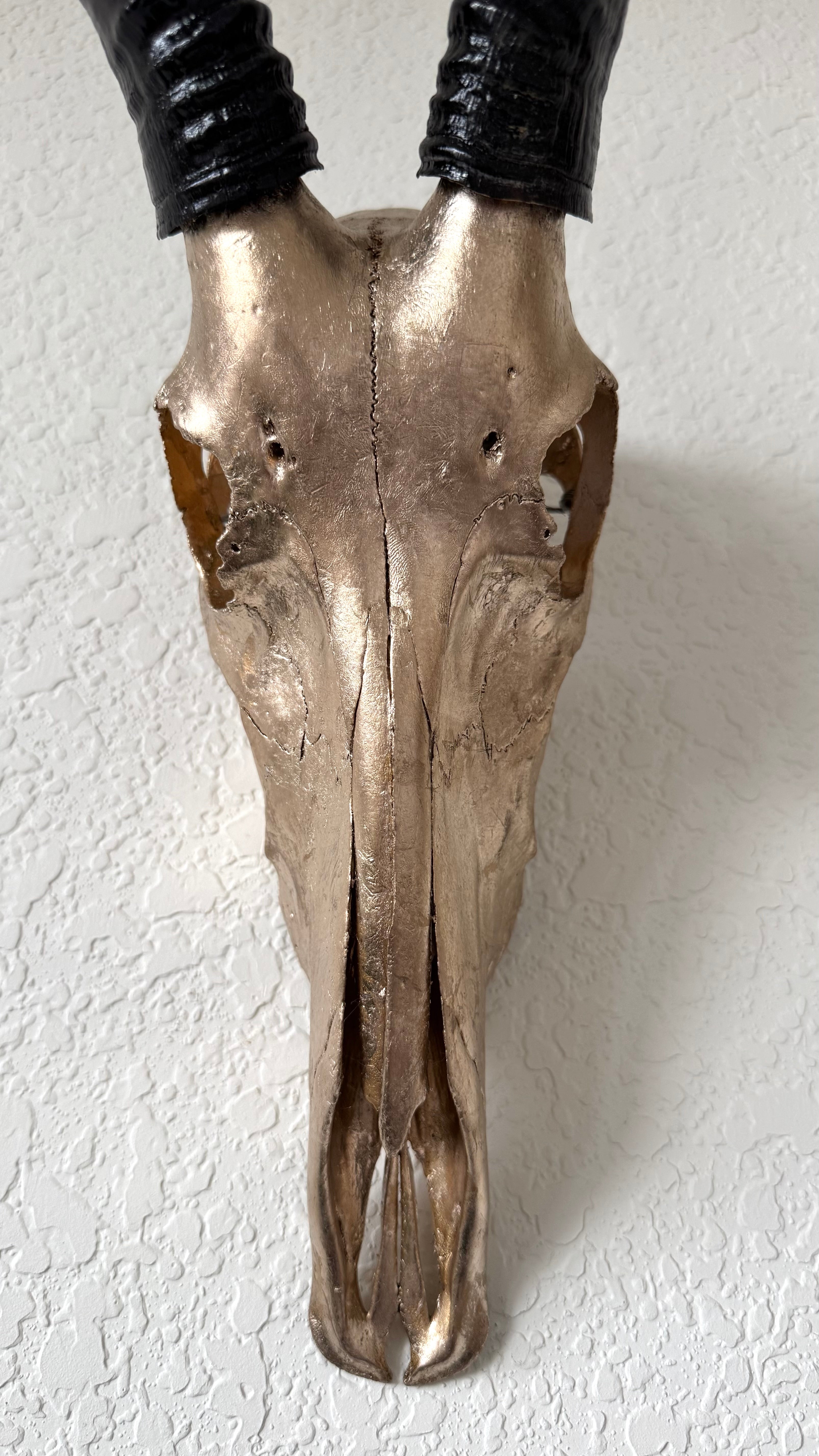 Manetti 22.5 kt Champagne Gold Gilded Blesbok Skull