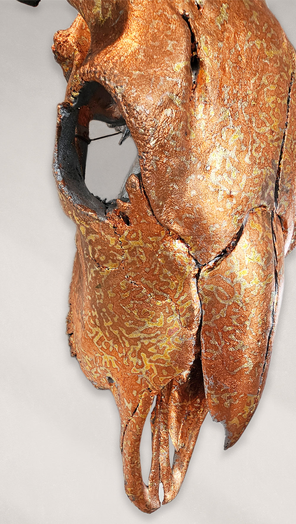 Buffalo Skull – Gilded Orange Variegated Gold Leaf Skull
