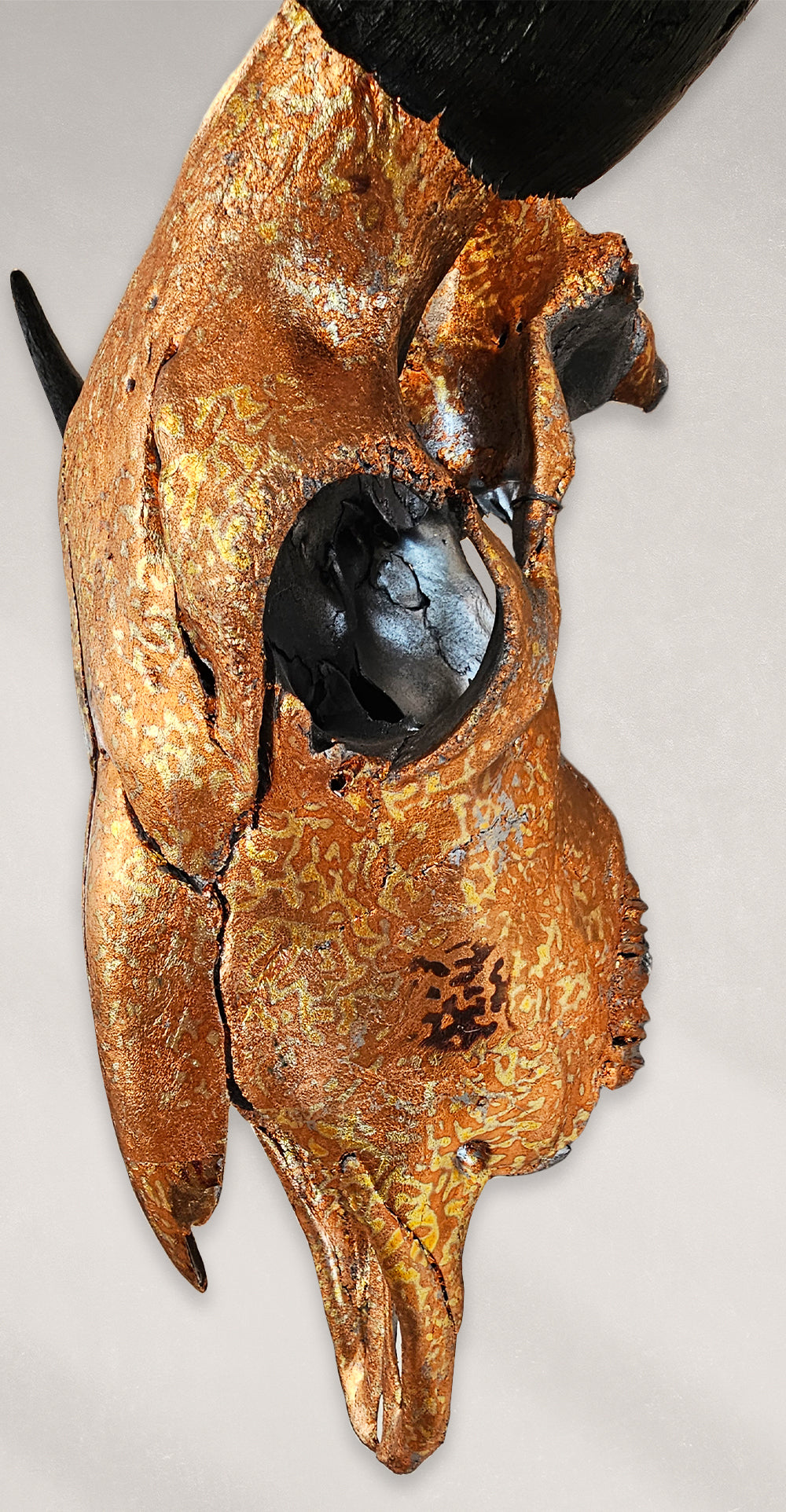 Buffalo Skull – Gilded Orange Variegated Gold Leaf Skull