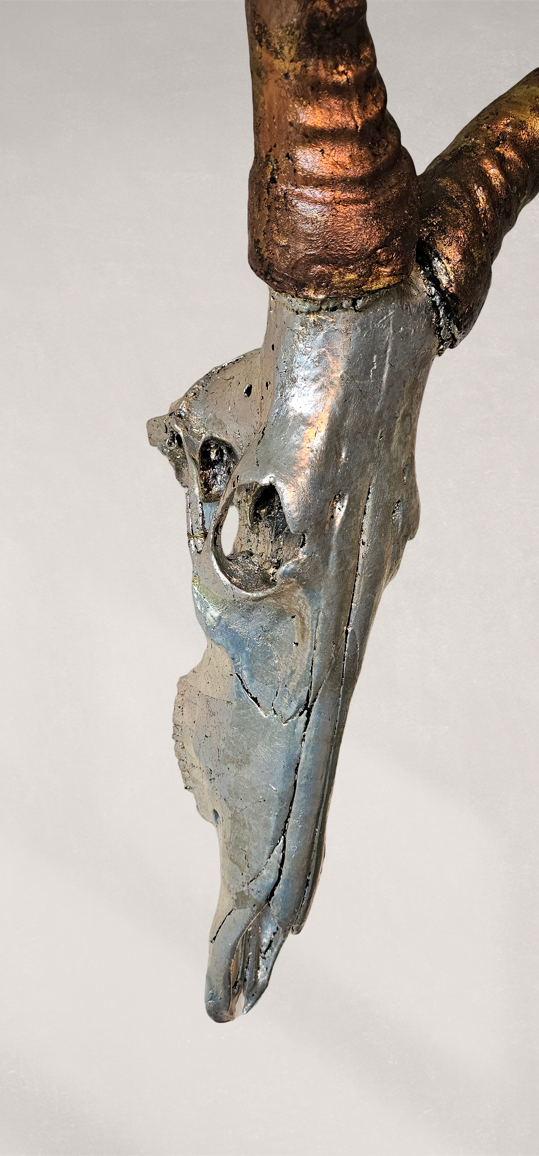 Hartebeest Skull – Pewter Leafed Hartebeest Skull with Bronze Leafed Horns