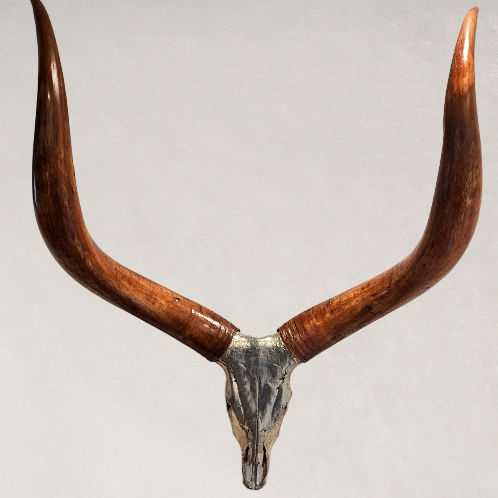 Ankole-Watusi Bull Skull – Pewter Leafed