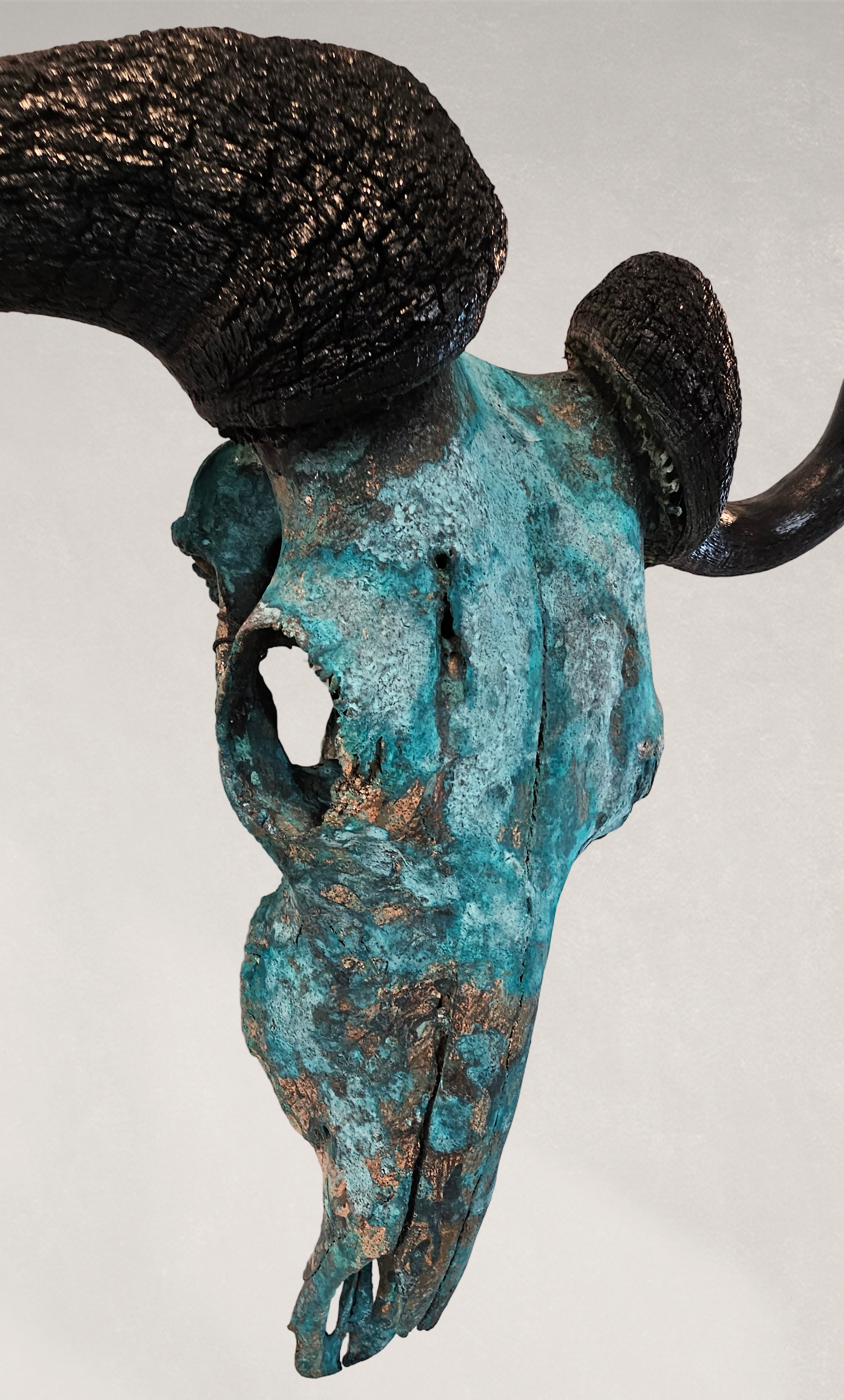 Wildebeest Skull - Copper Leaf Gilded & Patinated Skull