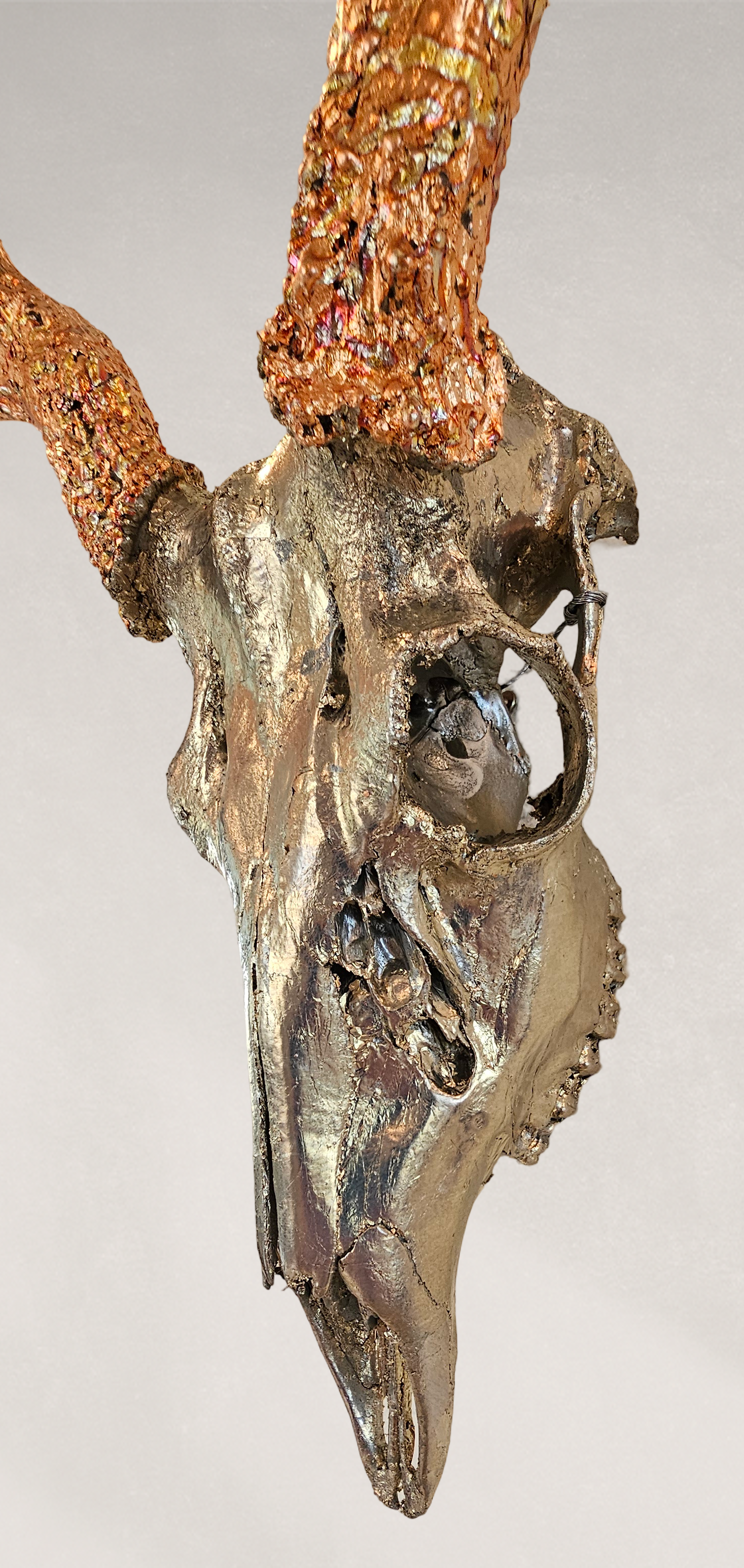 Deer Skull - Pewter and Variegated Leaf Gilded Skull