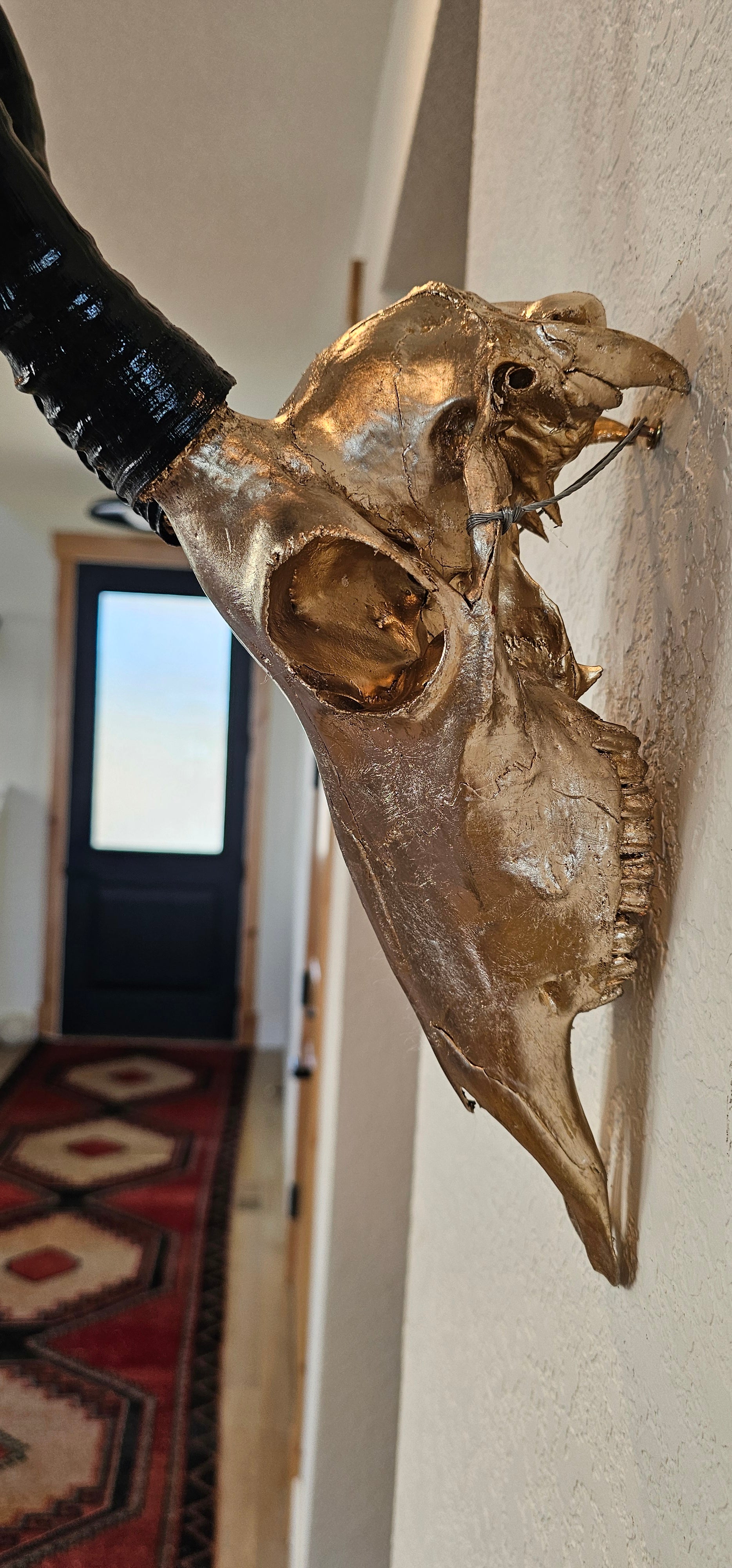 Blesbok Skull - 22.5K Champagne Gold gilded Skull