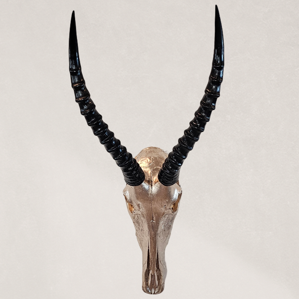 Blesbok Skull - 22.5K Champagne Gold gilded Skull