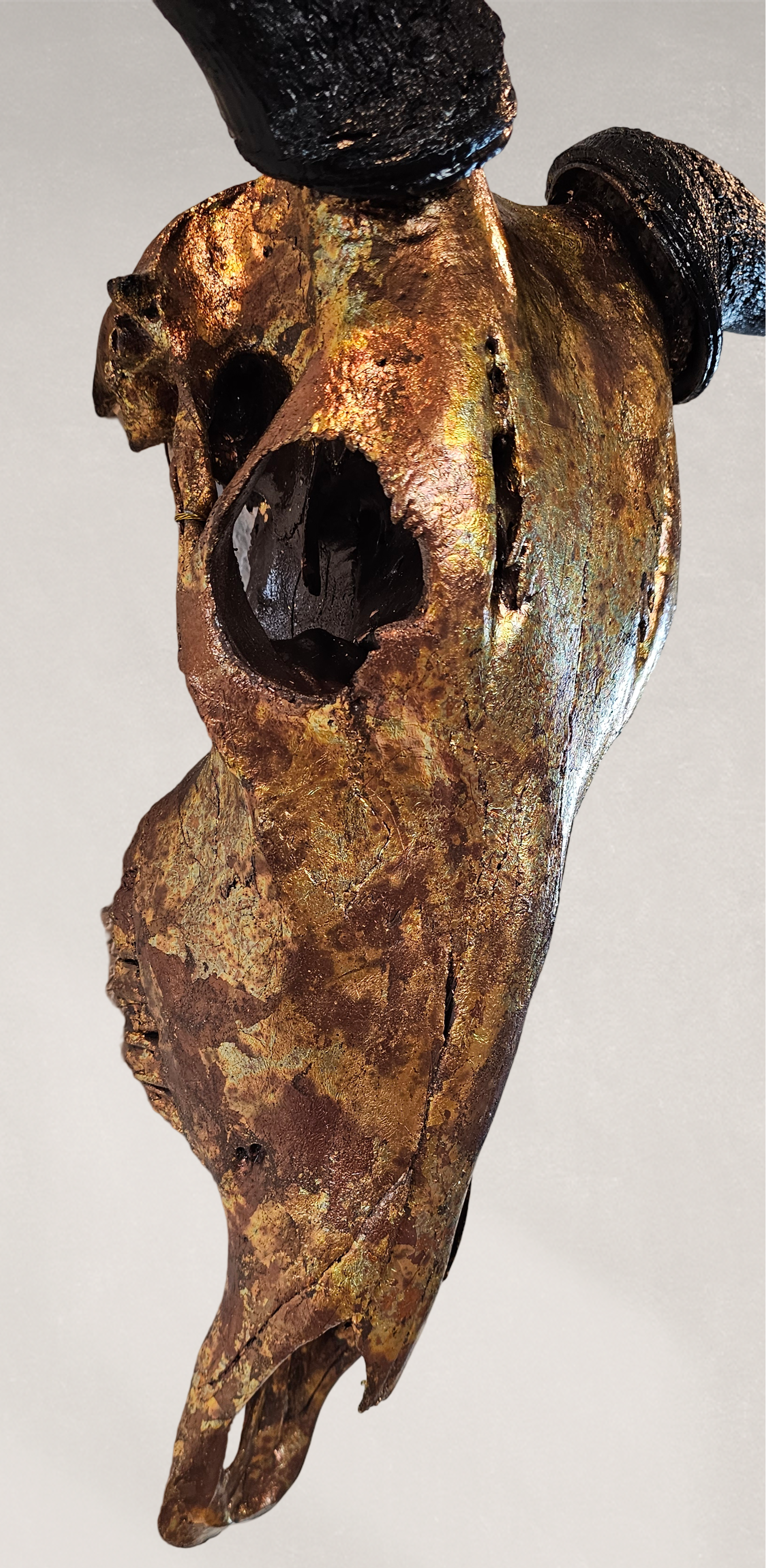 Wildebeest Skull- Antique Bronze Gilded Skull