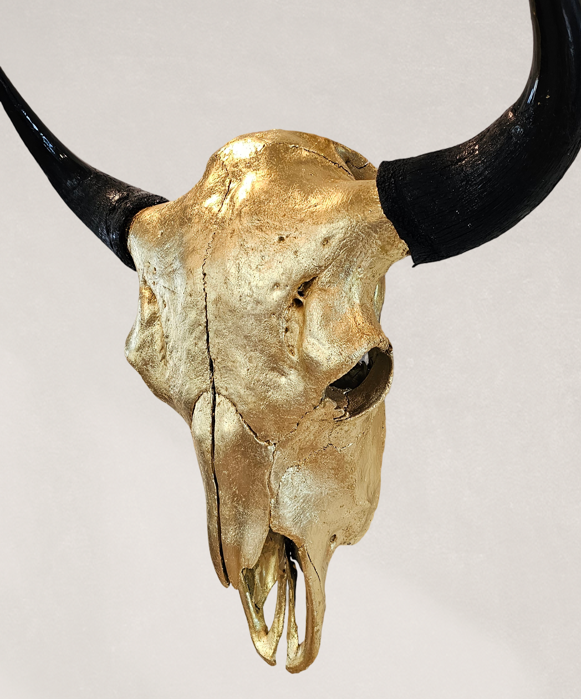 Buffalo Skull – 24K Gold Gilded Skull