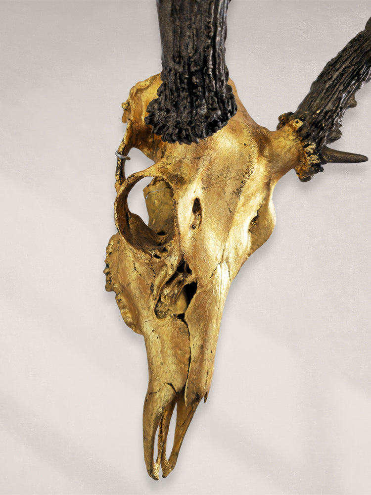 Deer Skull – 24K Gold Gilded Skull with Painted Horns