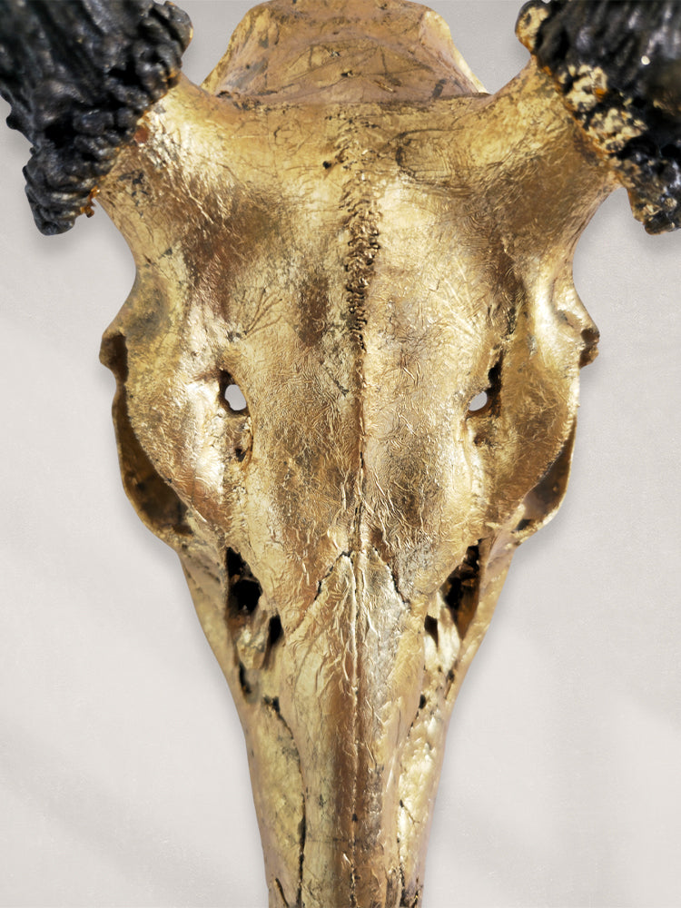 Deer Skull – 24K Gold Gilded Skull with Painted Horns