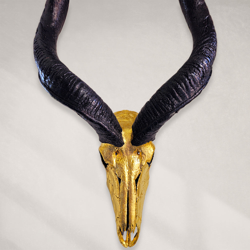 Kudu Skull – 24K Gold Gilded Skull