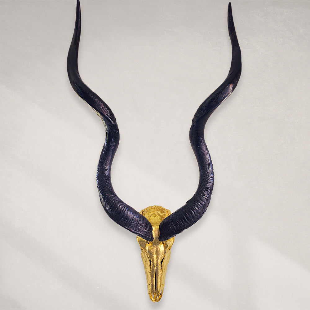 Kudu Skull – 24K Gold Gilded Skull