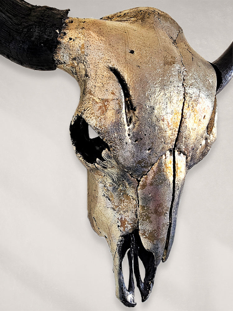 Buffalo Skull – Pewter Gilded Skull