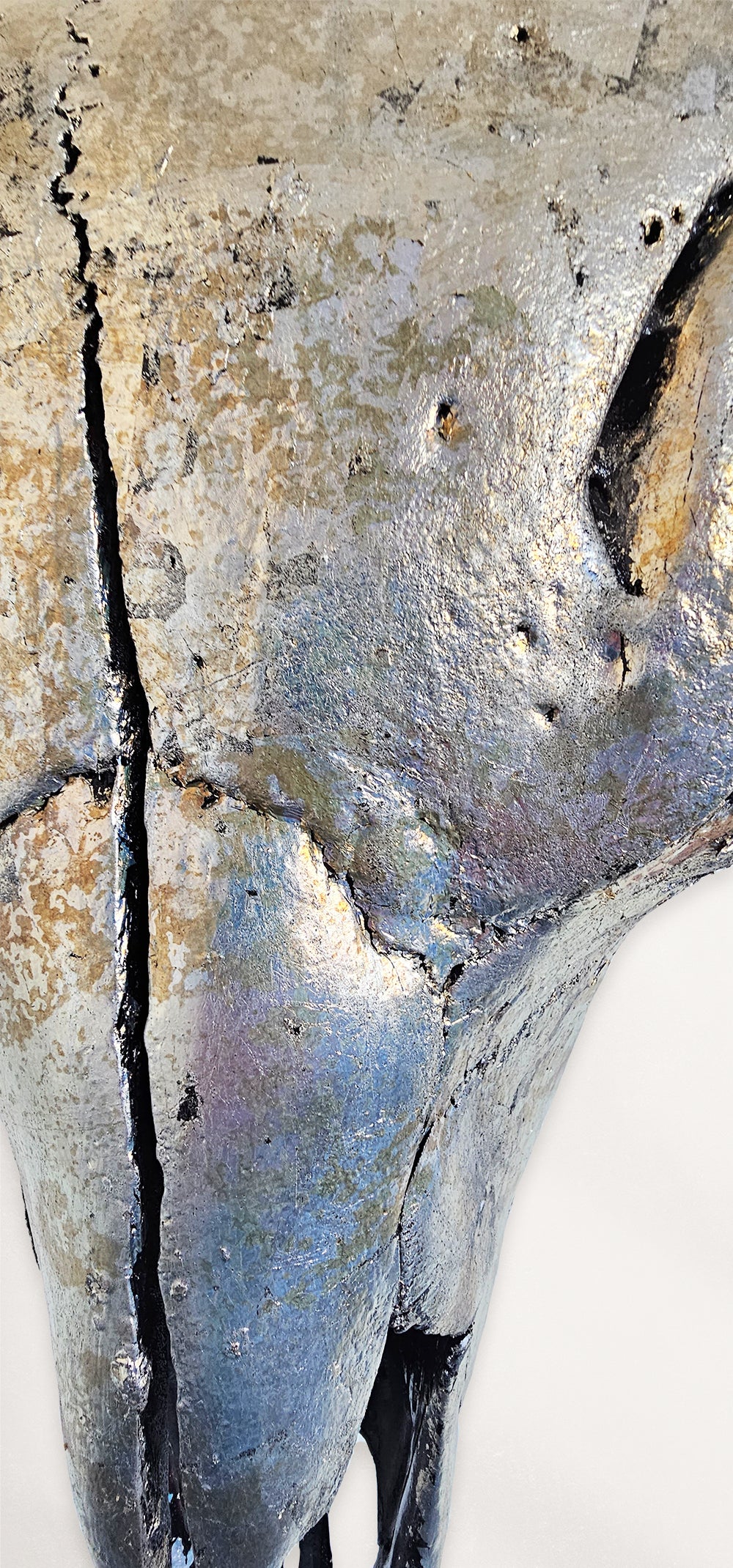 Buffalo Skull – Pewter Gilded Skull