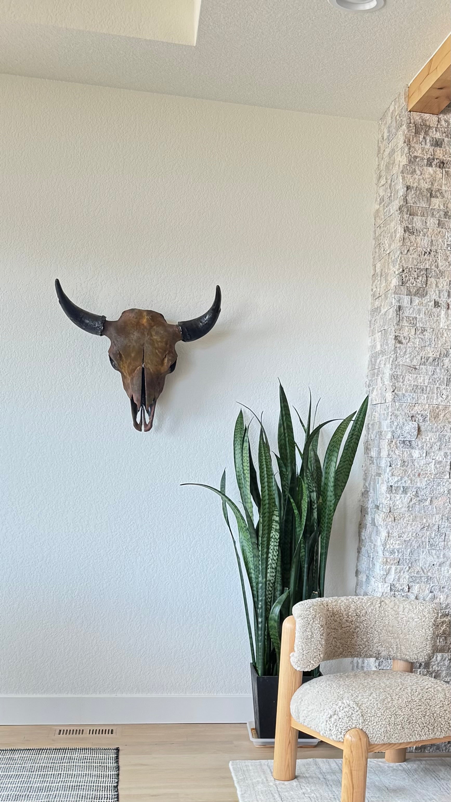 Gold Leafed & Rusted Buffalo Skull