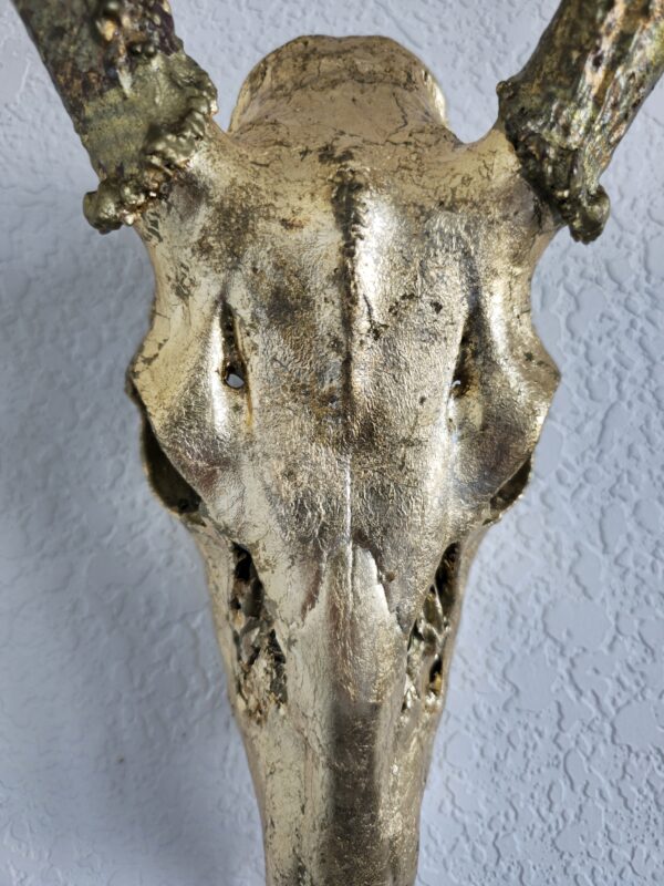 4010 deer 23K gold zoom skull scaled